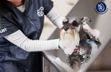 Clean Pet Grooming Salons