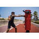 Proactively Challenging Boxing Trainers Image 2