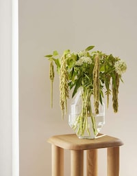 Mouth-Blown Glass Hydro Vases Image 1