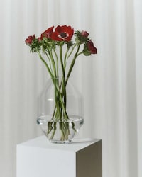 Mouth-Blown Glass Hydro Vases Image 2