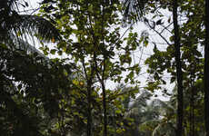 Forest Nestled Vaulted Homes