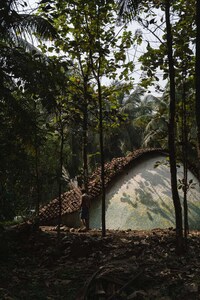 Forest Nestled Vaulted Homes Image 1