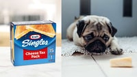 Playful Cheese Slice Campaigns Image 1