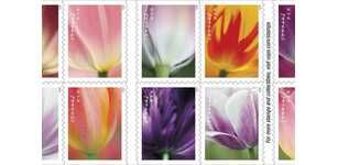 Flower-Themed Stamp Collections