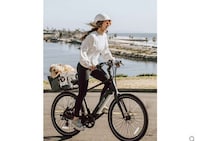 Torque-Sensing Cruiser E-Bikes Image 1