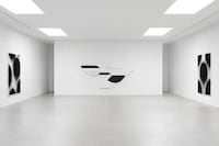 Collaborative Monochromatic Art Exhibitions Image 2