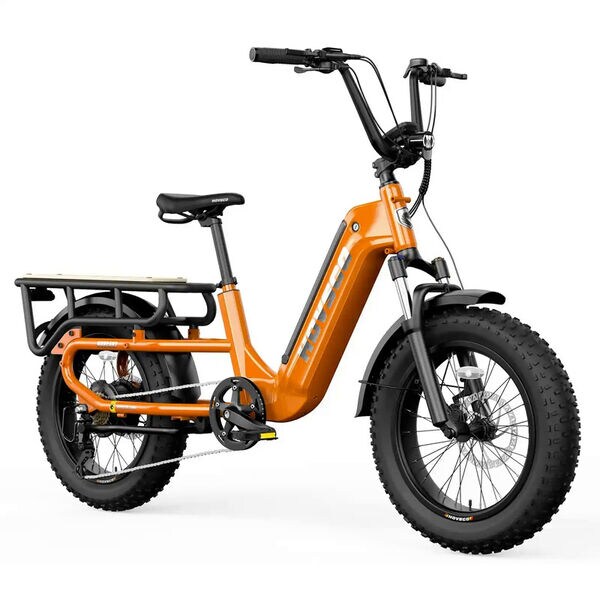 Compact Cargo eBikes