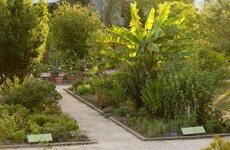 Sustainable Beauty Brand Initiatives