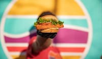 Faux Meat Chicken Sandwiches