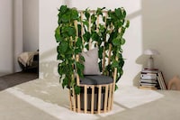 Living Plant DIY Chairs Image 1