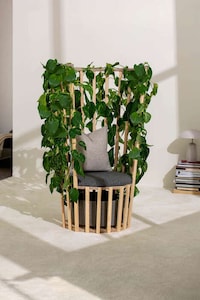 Living Plant DIY Chairs Image 2
