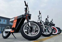 Elegantly Powerful E-Bikes Image 5