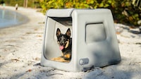 Air-Filled Waterproof Dog Kennels Image 2
