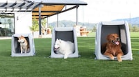 Air-Filled Waterproof Dog Kennels Image 4