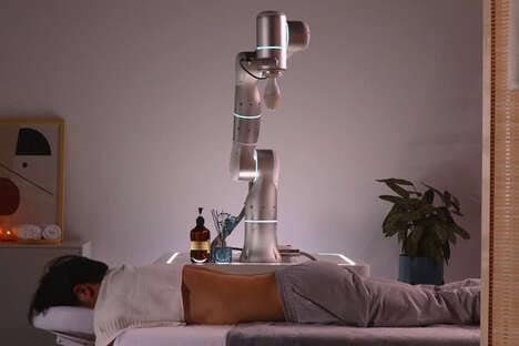 Back-Targeting Massage Robots