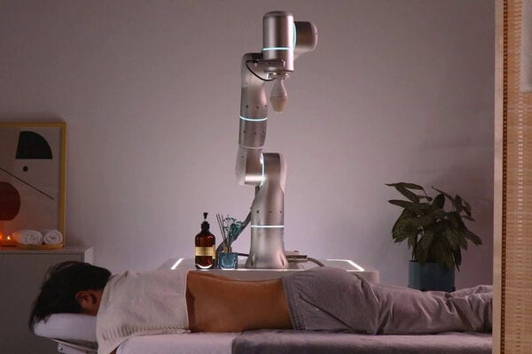 Back-Targeting Massage Robots