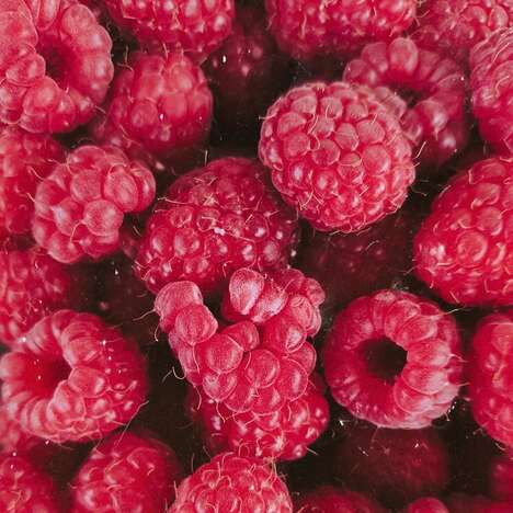 Natural Biotech Ingredients