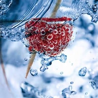 Natural Biotech Ingredients Image 3
