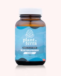 Sleep-Supporting CBD Gummies Image 1