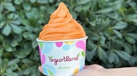 Cold Tea Frozen Yogurts Image 1