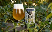 Delectable Double IPAs Image 1