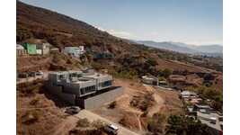 Sculptural Canteliver Concrete Houses