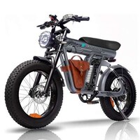 High-Power Zero-Emissions eBikes