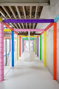 Indoor Playground Art Exhibitions Image 2