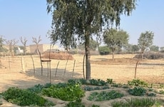 Beauty Brand Farming Initiatives