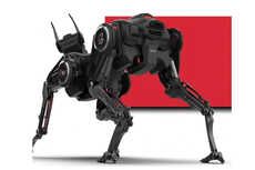 Musculoskeletal Robot Dogs