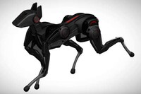 Musculoskeletal Robot Dogs Image 4