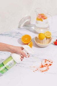 Can-Based Cleaning Kits Image 3