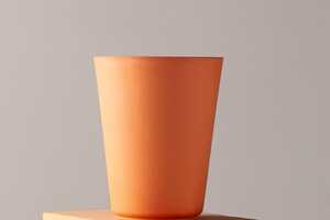 Smashable Biodegradable Cups Article Thubnail