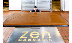 420-Pound Cannabis Candy Bars