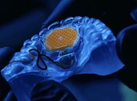 Tongue-Controlled Digital Interfaces