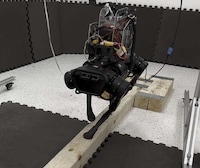 Balance Beam-Walking Robots