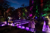 Gamified Botanical Gardens Image 2