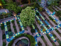 Gamified Botanical Gardens Image 6