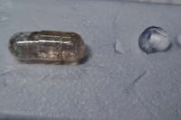 Revolutionary Insulin Capsules Image 1