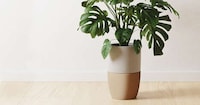 Aesthetic Air Purifiers Image 1