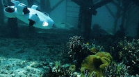 4K-Enabled Underwater Drones Image 3