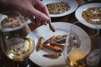 Insect Whisky Pairings Image 3
