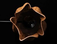 Sculpted Wooden Desktop Illuminators Image 4