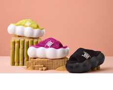Eco Cloud-Like Slides