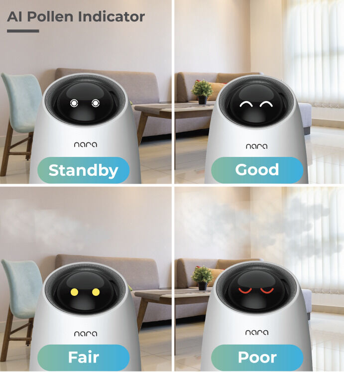Personable Air Purifier Robots