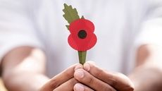 Plastic-Free Remembrance Poppies Article Thubnail