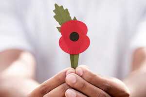 Plastic-Free Remembrance Poppies Article Thubnail