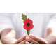 Plastic-Free Remembrance Poppies Image 1