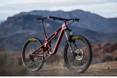 Low-Slung Mountain Bicycles