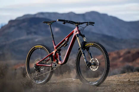 Low-Slung Mountain Bicycles